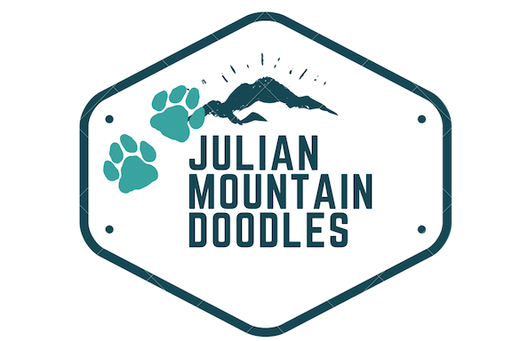 Julian Mountain Doodles